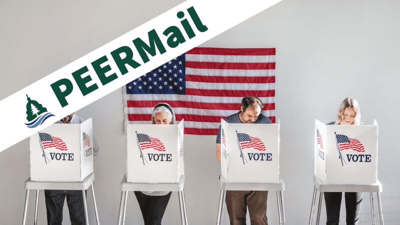 PEERMail | What This Election Means