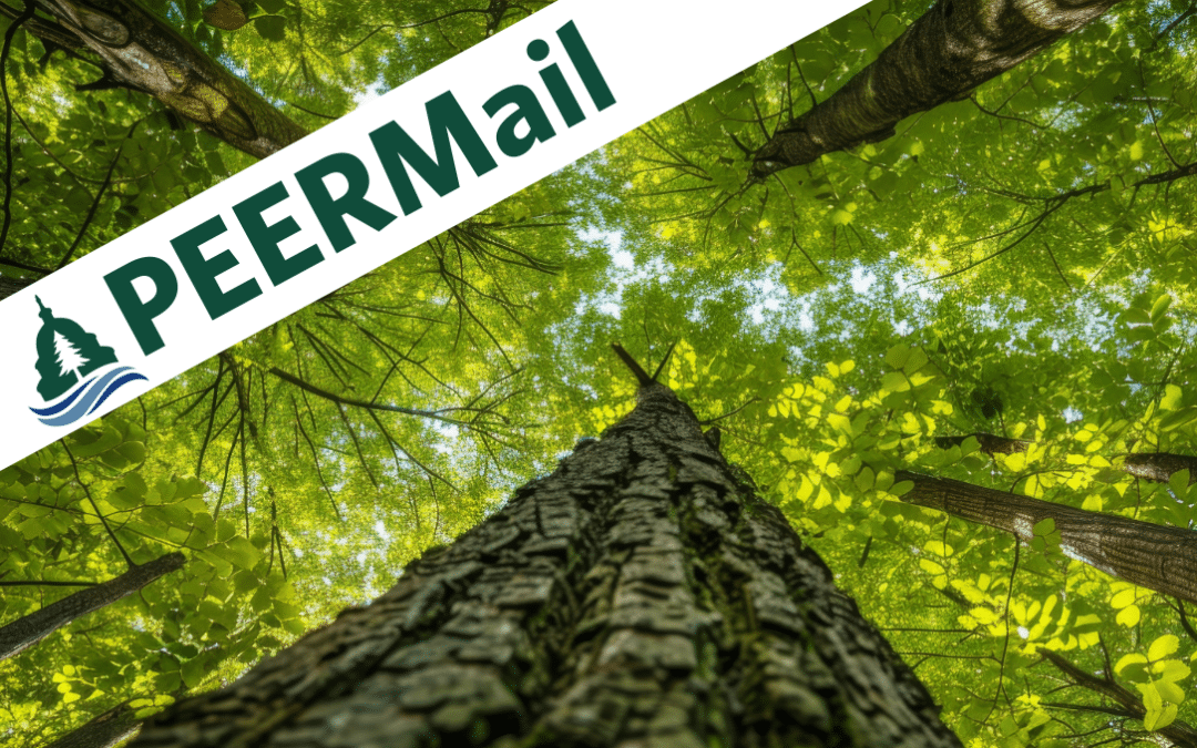 PEERMail | Our Gratitude and Commitment this Thanksgiving