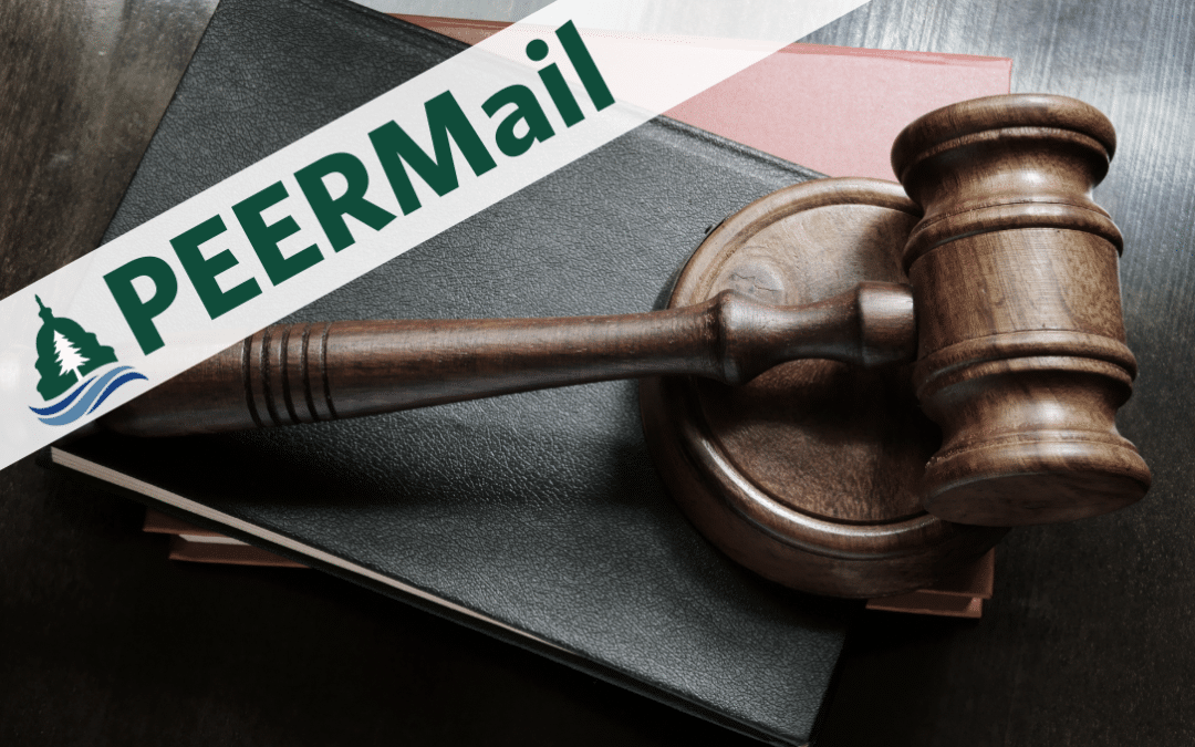 PEERMail | Protecting the Rule of Law